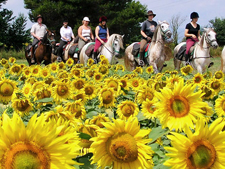 Spain-Catalonia-Catalonia Explorer Ride